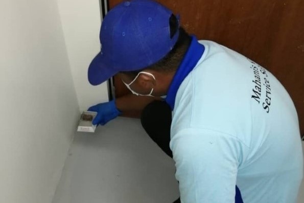 Rodent (Rat) Control Johor Bahru (JB) | Rodent (Rat) Control Melaka | Pest Control Service Johor Bahru (JB) | Pest Control Service Melaka